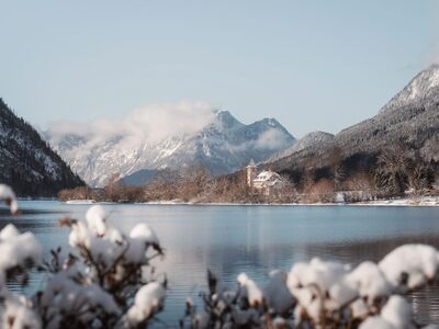 lake, mountains, winter, snow, forest, alps, cabin, morning, silence, mist, stunning view, nature, reflection, blue sky, scenery, tranquility, natural landscape, austrian alps, remote village, photographer's paradise