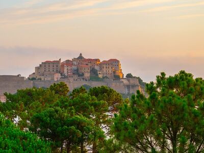 calvi, citadel, morning, vacation, corsica, summer, island, france, mediterranean, landscape, pine forest, beach, bay, sky, atmosphere, fortification, sight, city view, wall, dawn