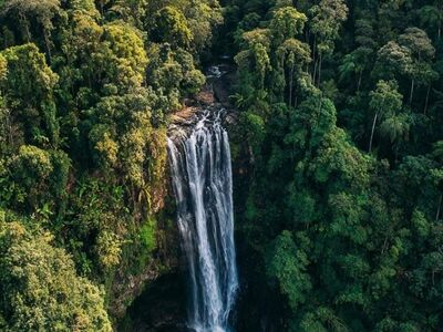 waterfall, forest, nature, jungle, mountains, greenery, rainforest, natural, tall, ecotourism, adventure, wild, view, aerial photography, green mountains, tranquil, remote, hydropower, destination, national park