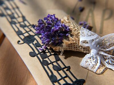lavender, musical notes, bouquet, natural light, shadow, rustic, vintage, lace ribbon, handmade, home decor, greeting card, craft, dried lavender, sheet music, botanical, artistic composition, sunlight, elegant, floral, minimalism