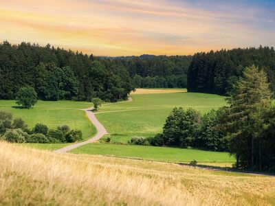 landscape, meadow, forest, sunset, nature, grass, path, hilly landscape, green, blue sky, view, hiking, countryside, road, tranquility, relaxation, sun, glow, area
