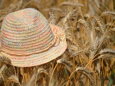 hat, wheat field, summer day, straw hat, nature, agriculture, ripe, spring, summer, harvest, grains, golden, straw, ear season, grain, sun hat, culture, peace in nature, hidden treasure, outdoor