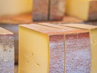 cheese, slice, yellow, hard cheese, mold, wooden surface, cut, edge, texture, ripening cheese, gourmet, dairy, moldy cheese, center, corners, shape, swiss mold, delicacy, finish, detail