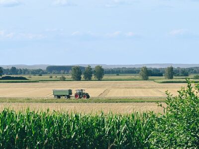 tractor, field, summer landscape, dirt road, agriculture, cultivation, tractor with trailer, cornfield, machinery, farm equipment, distant landscape, tillage, blue sky, agricultural field, wheat field, plowing with tractor, rural area, farming activity