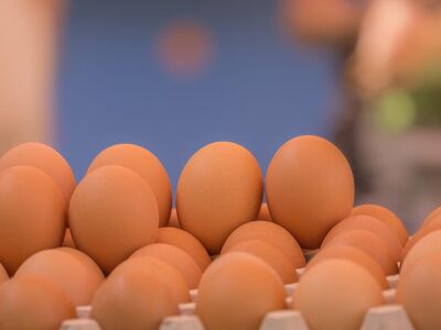 egg, egg tray, brown eggs, food, breakfast, agriculture, organic, natural, raw, fresh, cooking, nutrition, food supply, protein, egg nutrition, morning meal, egg cooking, homegrown, farm produce, healthy food