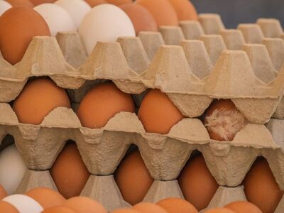 egg, chicken egg, brown egg, egg carton, texture, food, protein, agriculture, traditional, fresh, kitchen, natural, breakfast, nutrition, cooking, ingredient, calcium, agricultural product, wholesale, locally produced