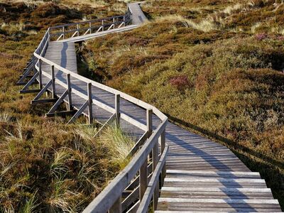 promenade, wooden pathway, nature, walkway, landscape, dunes, autumn, hiking, wooden railing, countryside, tranquility, tourist attraction, long path, clear day, calm, distance, view, relaxation, space, recreation, fresh air