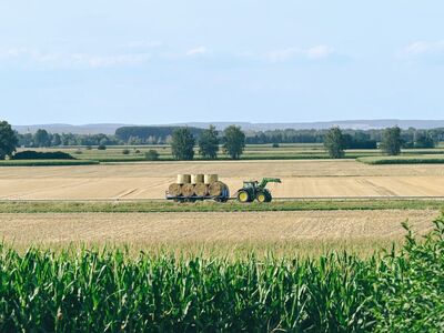 field, tractor, hay bales, agriculture, summer day, rural landscape, plants, straw, horizon, tractor in field, grass, plowing, grain, transport, harvest, ecology, landscape, nature, farmer, sky