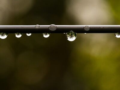 drop, raindrop, free background, 4k wallpaper 1920x1080, nature, green, sharp, wallpaper 4k, capillary action, hd wallpaper, beautiful wallpaper, minimalism, 4k wallpaper, reflection, bubble, macro, laptop wallpaper, cool backgrounds, outdoor, focused, windows wallpaper, free wallpaper, wallpaper hd, calm, symmetrical, background, full hd wallpaper, desktop backgrounds, wet, wire, macro lens, mac wallpaper, macro photography, water drop