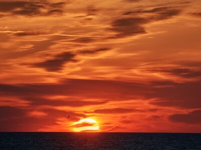 sunset, sea, sky, red, orange, cloud, nature, landscape, horizon, evening, calm, west, summer, idyll, crystal clear, peaceful, reflection, beauty, light, twilight, photography
