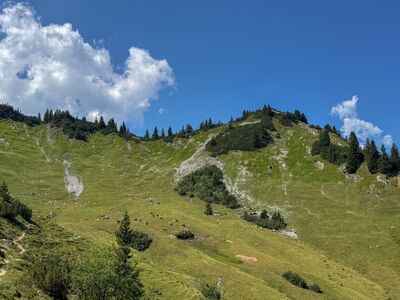 mountains, pasture, sky, clouds, trees, meadow, hiking, nature, panorama, grass, sunny, destination, recreation, tourist destination, outdoor, view, tranquility, flora, water