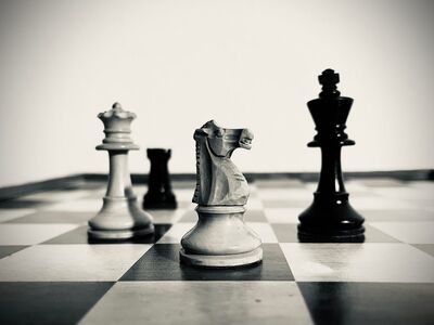 chess, chessboard, knight, king, queen, strategy, piece, game, game strategy, bishop, rook, contrast, black and white, move, tactics, endgame, focus, chess game, middlegame