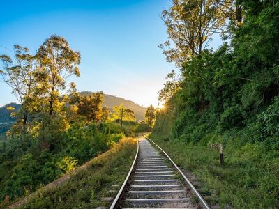 railway track, sun, sunset, landscape, forest, nature, railway, path, railway route, railway curve, railroad line, railway setting, railway construction, railway station, railway infrastructure, railway bridge, railway facility, winter railway, railway tracks
