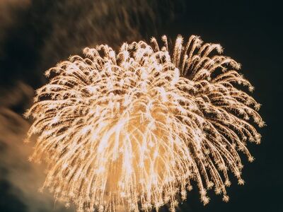 fireworks, night, celebration, festive, night sky, colorful, spark, beautiful, magical, illumination, explosions, party, evening celebration, impressive, lights and shadows, new year, firework rocket, summer evening, anniversary, view