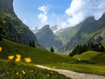 alps, mountains, valley, nature, lake, greenery, forest, gravel path, alpstein, switzerland, hiking, summer, sky, panorama, hiking trail, natural beauty, blooming flowers, path, fresh air