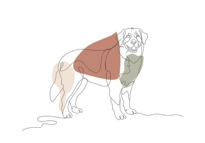 dog, line drawing, hd wallpaper, mac wallpaper, minimalist, free background, boho, wallpaper hd, desktop backgrounds, art, portrait, 4k wallpaper, background, animal, monochrome, graphic, beautiful wallpaper, laptop wallpaper, windows wallpaper, artwork, nature, canine, friend, cool backgrounds, full hd wallpaper, simplicity, 4k wallpaper 1920x1080, decoration, pastel colors, wallpaper 4k, pet, line, free wallpaper, clean design