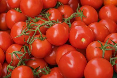 tomatoes, red, fresh, harvest, agriculture, vitamin c, healthy food, fruit, crop, detail, nature, food, vitamins, market, simple sugars, ripening, traditional, organic, seasonal produce, picking, vegetable
