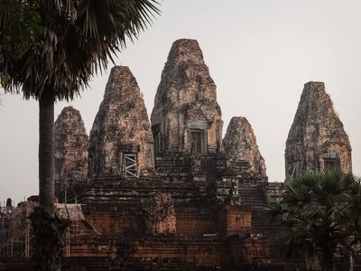 temples, angkor wat, cambodia, architecture, decoration, palms, silhouette, nature, asian, stone carvings, tropical, historical sites, monuments, world heritage site, soft light, historic restoration, ancient ruins, ornamental, unesco sites