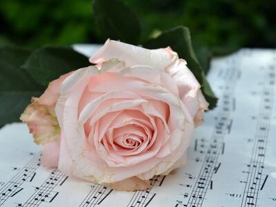 rose, sheet music, floral background, mac wallpaper, music, love, romance, flower wallpaper, flower, rose flower, full hd wallpaper, flower background, music notes, beautiful wallpaper, wallpaper 4k, cool backgrounds, desktop backgrounds, melody, artifact, background, decoration, creativity, hd wallpaper, wallpaper hd, art, windows wallpaper, nature, laptop wallpaper, free background, free wallpaper, beautiful flowers, 4k wallpaper 1920x1080, handwritten, nature motif, artistic, 4k wallpaper, inspiration, soft pink