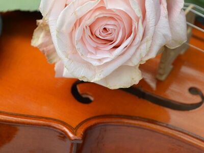 rose, violin, music sheet, beautiful flowers, music, romantic, flower, classical music, string instrument, melody, flower background, sheet music, nature, flower wallpaper, musical instrument, concert, love song, violin music, luxury, love for music, romantic atmosphere, rose flower, happy birthday, artistic