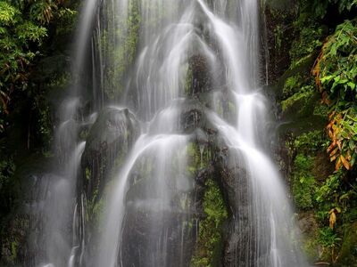 waterfall, nature, forest, rocks, moss, damp, green, peaceful, flowing, moisture, fern, water, time, photography, fresh, calm, serene, energy, renewal