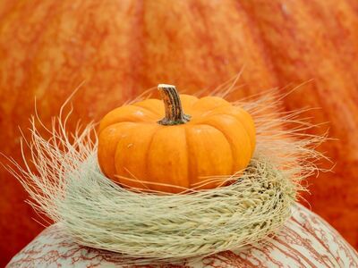 pumpkin, autumn, harvest, nature, orange, decoration, still life, pumpkin decoration, autumn decoration, straw, small pumpkin, natural decoration, in the background, festive season, artistic arrangement, seasonal decoration, food, dimension, late autumn, bright colors