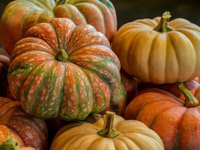 pumpkin, autumn, farm, still life, nature, decoration, food, organic, background, seasonal, orange, early autumn, seasonal fruits, spicy, pumpkin pie, harvest, rural, farmers market, vegetables