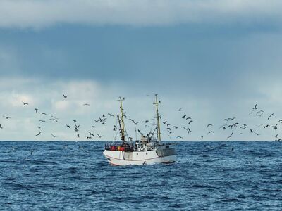 boat, ocean, nature, sea, fishing boat, fishing, ship, flock of birds, birds, deep ocean, distance, blue water, cloud, elements, coordinates, natural scenery, outdoor, horizon, cloudy sky, maritime transport