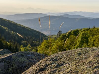 landscape, mountains, forest, rocks, nature, horizon, grass, idyllic, view, fresh, ecotourism, hiking, peaceful, distant, daylight, natural, gentle, refreshing, meadow, hill