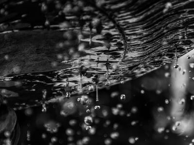 droplets, water, texture, black and white, dripping, photography, background, art, dripping water, surface, detail, liquid, particles, drop, abstract, calligraphy, plastic, photo art, stream, wet
