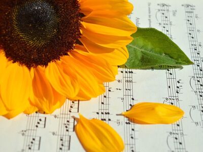 sunflower, sheet music, flower, autumn, leaf, yellow color, petal, art, decoration, melody, inspiration, texture, aesthetic, composition, emotional, background, decorative, feeling, tablature, symbol, paper
