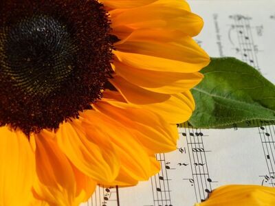 sunflower, sheet music, yellow, petal, green, autumn, music, composition, harmony, decoration, day, detail, aesthetics, artistic, light, layout, beauty, art, inspire, sincerity