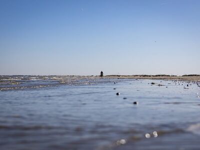 coast, beach, sea, sand, waves, water, nature, pollution, waste, litter, trash, many, motion, peace, solitude, person, walking, cleaning, end