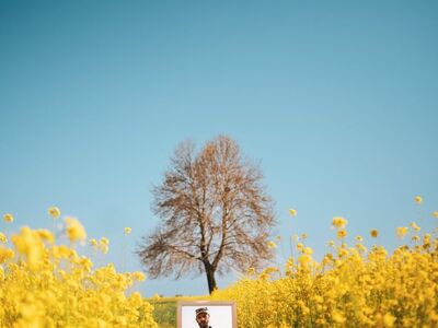nature, mirror, tree, field, yellow, person, clear sky, meadow, man, landscape, rural, standing person, art, reflection, autumn, sun, lonely, creativity, harmony, self-reflection