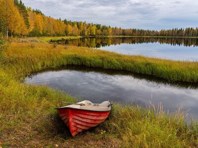 autumn, forest, lake, boat, red, autumn foliage, rowboat, nature, landscape, reflection, grass, tranquility, calm water, shore, mirror, peaceful, clear sky, relax, natural scenery