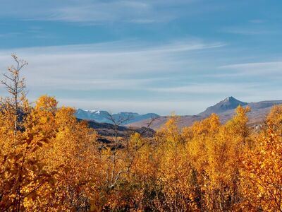 autumn, landscape, forest, mountains, yellow leaves, autumn trees, golden colors, sunlight, blue sky, mountain landscape, fall colors, lighting, natural scenery, autumn foliage, tourist attraction, nature, rural area, deciduous forest, view, outdoor, walk, natural beauty