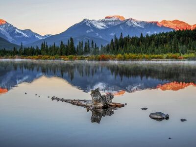 banff, banff national park, vermilion lakes, canadian rockies, reflection, sunrise, mountains, lake, autumn, nature, landscape, alpenglow, patches of mist, forest, alberta, peaceful, driftwood, snow-capped mountains, canada, scenic