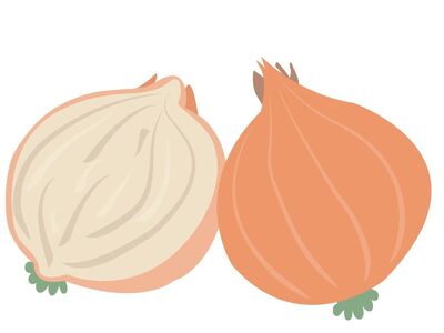 onion, vegetable, graphic, clipart, sliced onion, natural, cuisine, fresh, healthy food, ingredient, spice, bulb, simplicity, home cooking, nutrition, autumn, cartoon style, symbol, vintage
