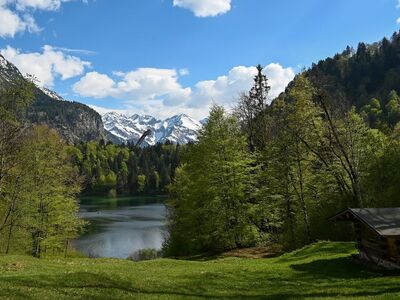 oberstdorf, freibergsee, spring, mountains, alps, allgäu, landscape, alpine mountains, light, nature, lake, allgäu alps, hiking, vacation, lake freiberg, ski jump, grass, blue sky, lush, wooden cabin