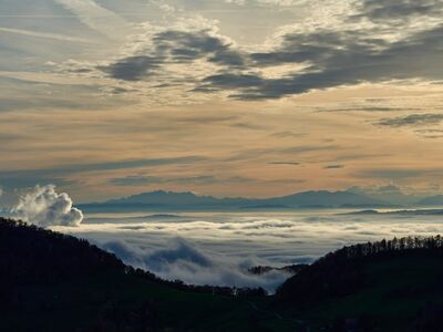 forest, mountains, morning, fog, sky, sunset, sun rays, dawn, view, landscape, nature, fresh air, panorama, daybreak, travel, cloud running, distance, atmosphere, romance, relaxation