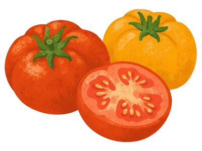 tomatoes, yellow tomato, red tomato, tomato slice, tomato stem, vegetable, sliced, fresh, colorful, season, summer, healthy, yellow, red, organic, nature, drawing, food, diet, decorative