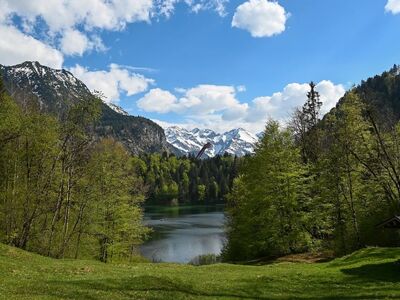 freibergsee, oberstdorf, spring, mountains, lake, nature, mountain panorama, mountain meadow, mountain cabin, green, mountain tourism, alps, hiking, clear sky, shadow, sun, cabin, clouds, forest, tourist destination