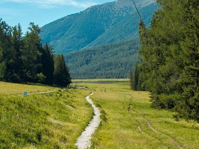 child, wooden boardwalk, nature, mountain landscape, meadow, forest, nature landscape, hiking, grass, travel, family, summer day, china, blue sky, tranquility, adventure, nature's beauty, peaceful, nature reserve, green, cool breeze