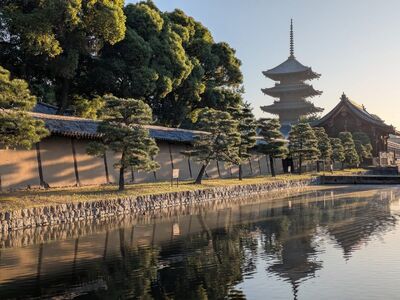 kyoto, temple, asian architecture, reflection, reflective water, morning, toji, pagoda, historical site, traditional architecture, gate, tranquility, nature, trees, culture, silhouette, silence, sunlight, lake, lighting