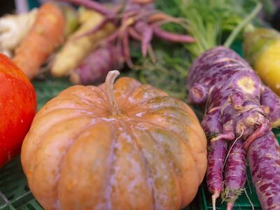 pumpkin, vegetables, autumn, halloween, harvest, nature, organic, agriculture, carrot, root vegetables, purple carrots, homegrown, market, seasonal food, healthy eating, freshness, colorful food, fresh vegetables, organic farm