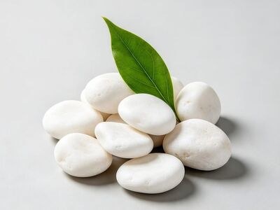 white, pebbles, leaf, zen, balance, natural, minimalism, aesthetic, soothing, nature, meditation, relaxation, purity, green, health, calm, spa, wellness, harmony, stone, simplicity, energy