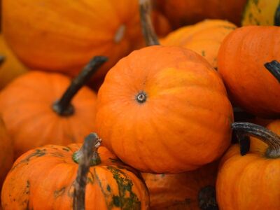 pumpkin, harvest, organic, vegetable, fresh, autumn decoration, halloween, decorative, cucurbita, yellow, green, texture, colorful, autumnal, plant, farming, ripe, still life, agricultural product, autumn harvest
