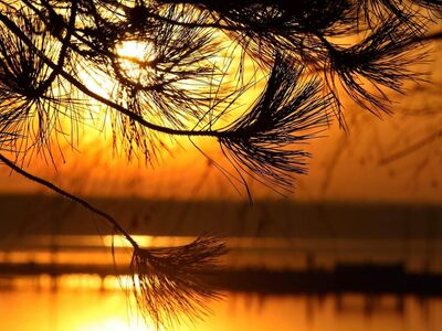 landscape, autumn, sunset, red light, lake, forest, reflection, water surface, trees, silhouette, orange, tree branches, evening light, tranquility, western horizon, natural light, calm, evening time, golden hue, aloe