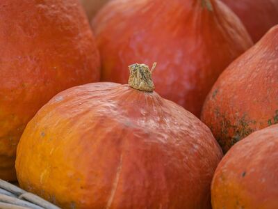pumpkin, orange, vegetable, autumn, texture, basket, close-up, fresh, agriculture, harvest, organic, bio, food, environment, nutrition, cultivation, vitamins, crop, seasonal, sale