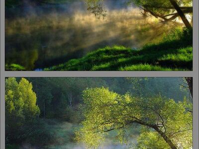 nature